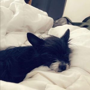 Meet your Posher, Jesse